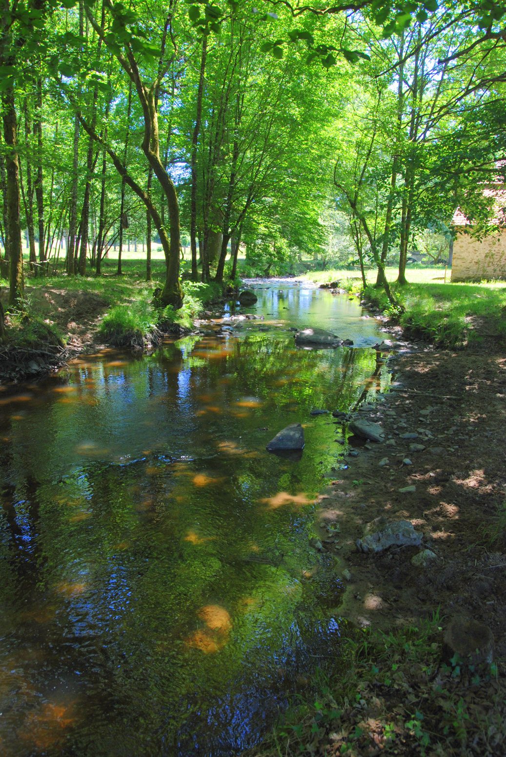 Les pieds dans l’eau Office de Tourisme PérigordLimousin