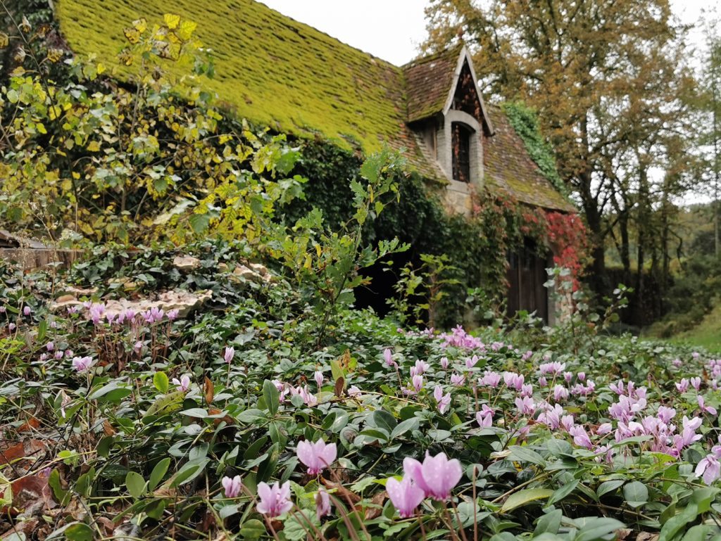 saint-jean-cole-plus-beaux-village-france-octobre-2