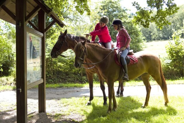 equitation-famille