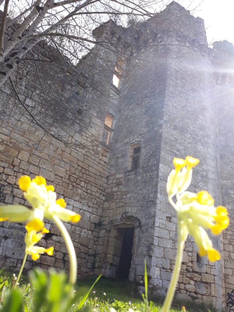 chateau-bruzac-perigord-dordogne-limousin