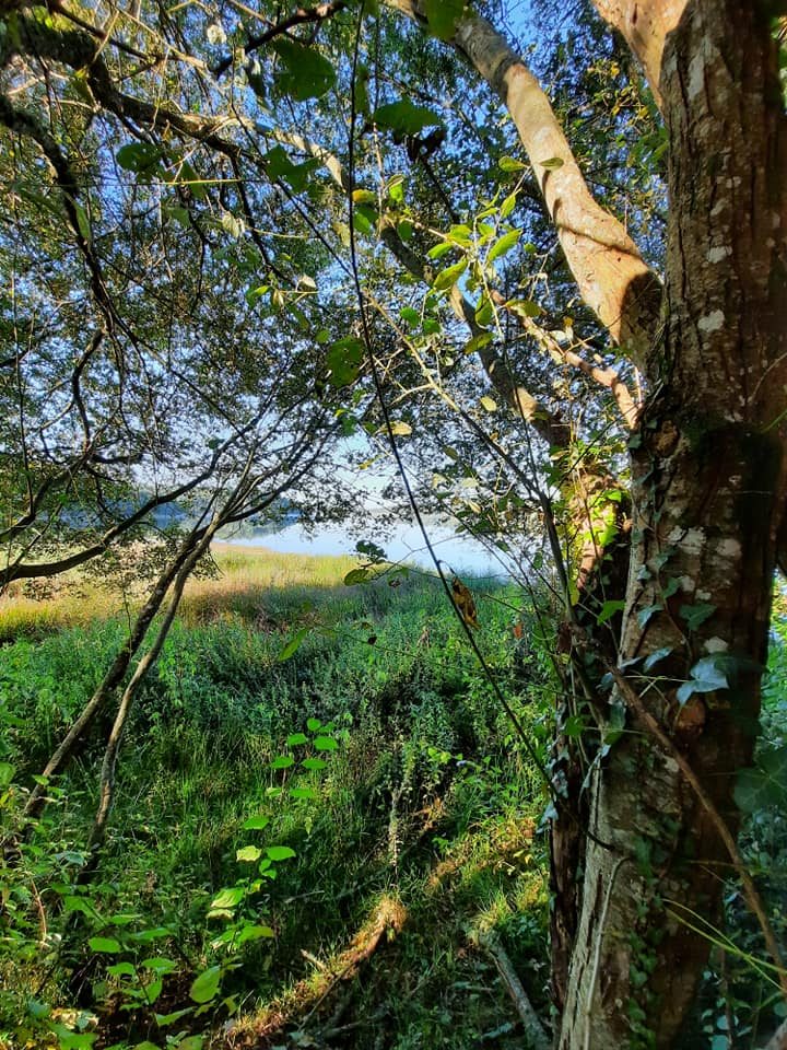 chemin-jeanclaudegranet