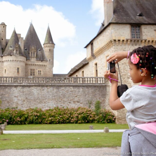 jumilhaclegrand-3-petite-souris-photographie-aspect-ratio-800-800