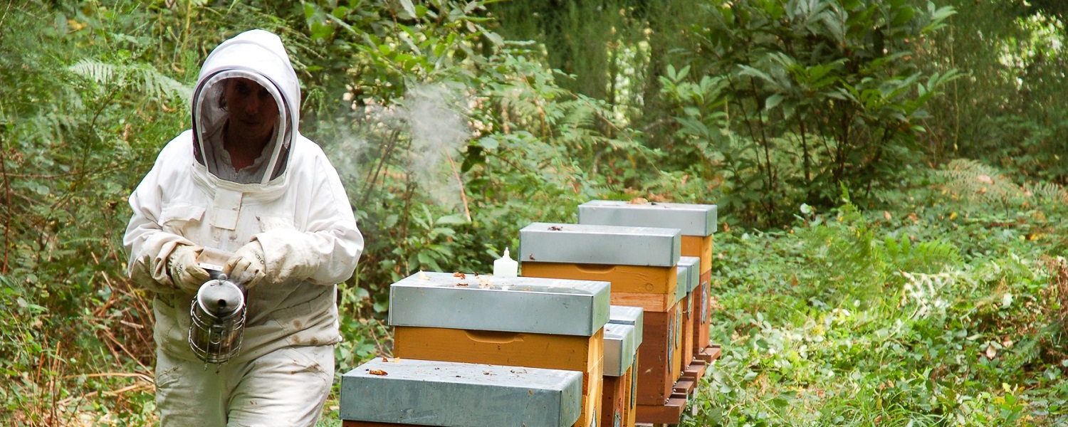 les-ruches-de-liza-2-1-aspect-ratio-2000-800