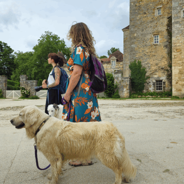 saint-jean-de-cole-ami-des-chiens-3-aspect-ratio-800-800