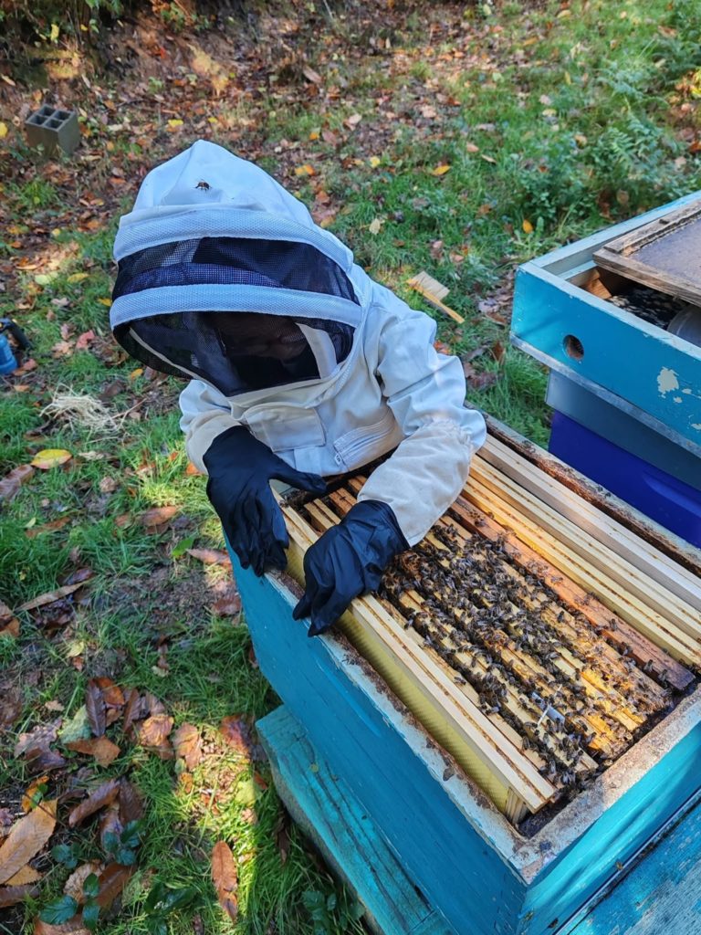 les-abeilles